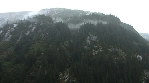 Alaska Mountain with pine trees Stock Footage 63378240