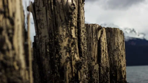Alaska Pier Timelapse 스톡 동영상 310563322