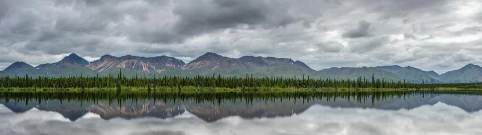 Alaska pine tree forest reflection on a lake 32:9 ultrawide Stock Photos