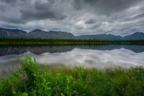Alaska pine tree forest reflection on a lake Stock-Fotos