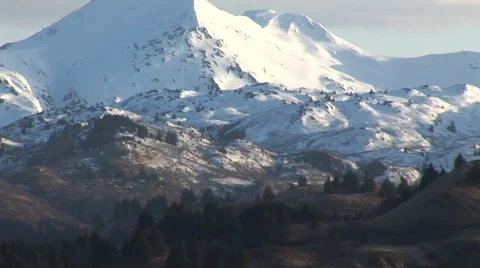 Alaska Pine trees on mountain slope Video stock 52366060