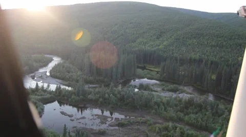 Alaska Plane Trees Greenery Stock Footage 38772768