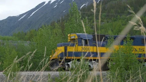 Alaska Railroad Train Passing Stock Footage 92190463