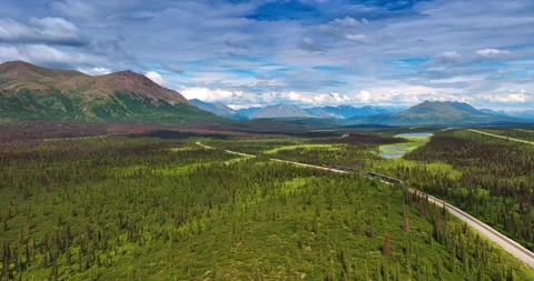 Alaska Railroad Train Through Dense Spruce Forest in Valley. Stock Footage 322806374