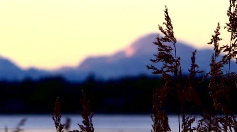 Alaska range at evening with a pull focus Stock Footage 40451038