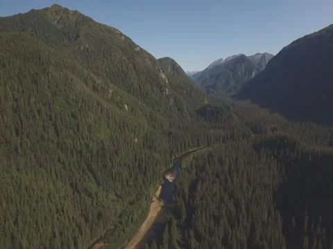 Alaska River High Shot 動画素材 80530784