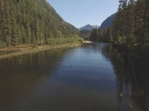 Alaska River Low Shot 動画素材 80530735