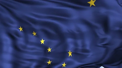 Alaska State Waving Flag Background Stock Footage 204138141