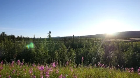 Alaska Timelapse Stock Footage 74536383