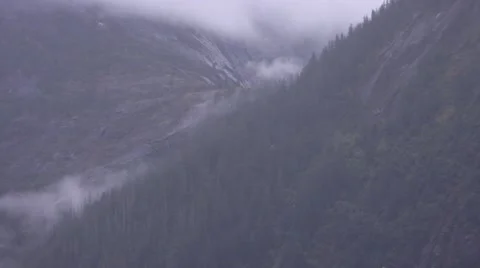 Alaska Trees on the mountain Video stock 63374842