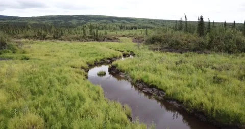 Alaska Tundra Stock Footage 212457432