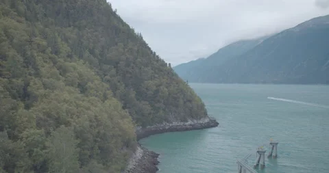 Alaska Wall of Trees Stock-Footage 197371545