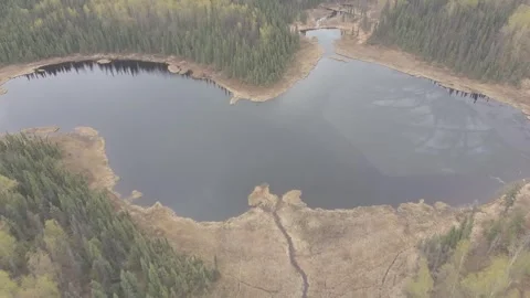 Alaska Wetlands During Break-up Stock Footage 308979280