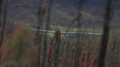 Alaska, wildfires Stock Footage 118361098