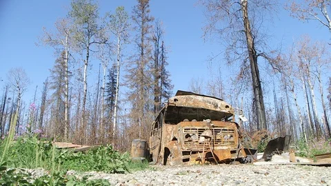 Alaska Wildfires Stock Footage 118361165