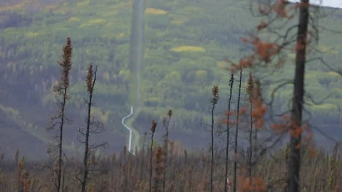Alaska wildfires pipeline Stock Footage 118360974