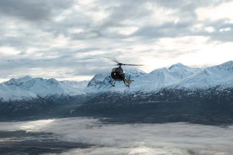 Alaska Winter - 2017 库存照片