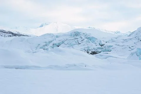 Alaska Winter - 2017 库存照片