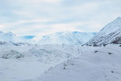 Alaska Winter - 2017 库存照片