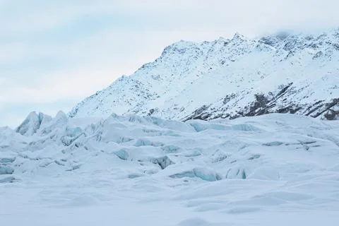 Alaska Winter - 2017 库存照片