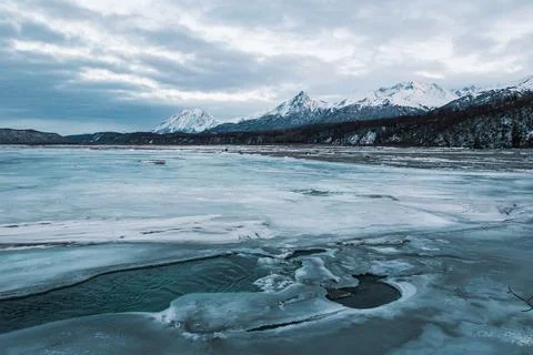Alaska Winter - 2017 库存照片