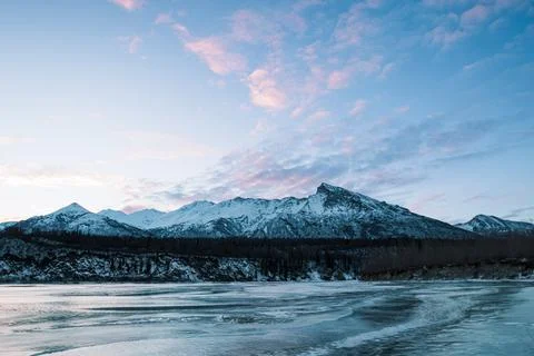 Alaska Winter - 2017 库存照片