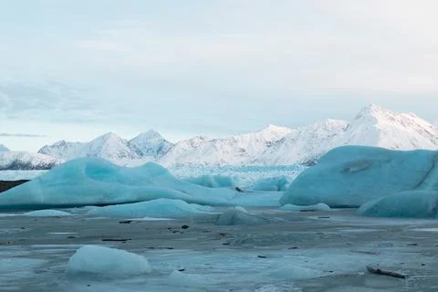 Alaska Winter - 2017 库存照片