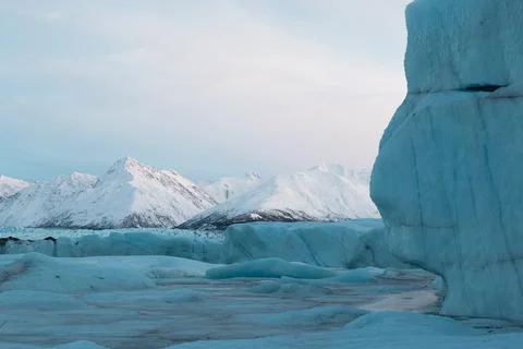 Alaska Winter - 2017 库存照片