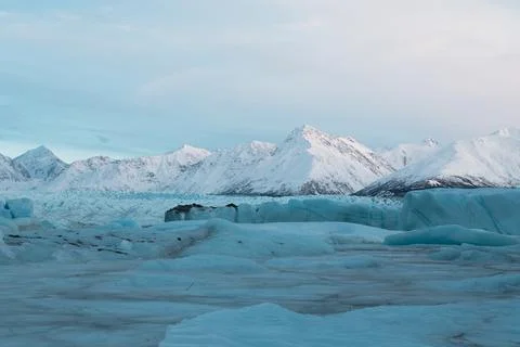 Alaska Winter - 2017 库存照片
