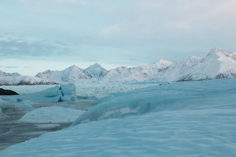 Alaska Winter - 2017 库存照片