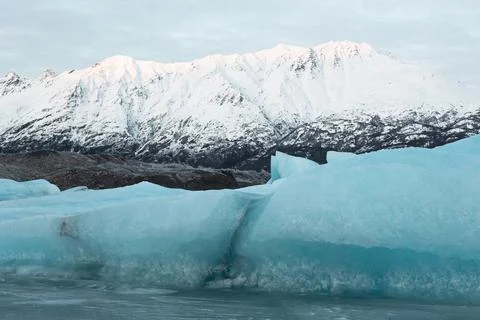 Alaska Winter - 2017 库存照片