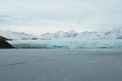 Alaska Winter - 2017 库存照片