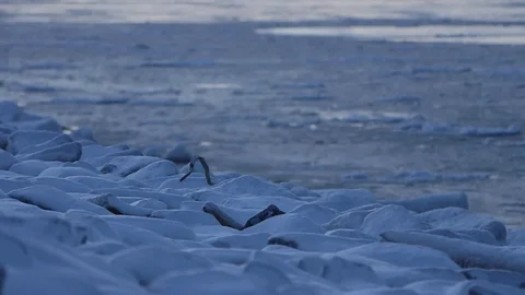 Alaska Winter Stock Footage 116959004