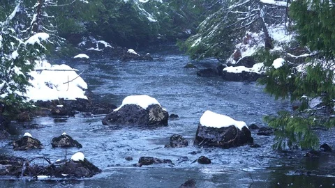 Alaska Winter Landscape Stock Footage 121731575