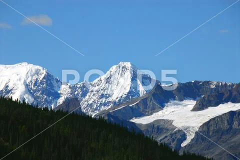 Alaska- Wrangell National Park- Mountains, Glaciers and Forest Stock Photos