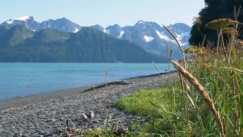 Alaskan Beach with Ocean and Mountains Stock Footage 96051653