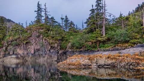Alaskan Cove Stock Photos
