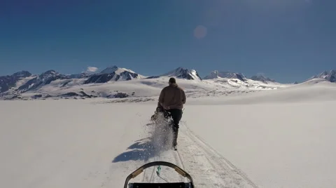 Alaskan dog sledding USA Stock Footage 41838003
