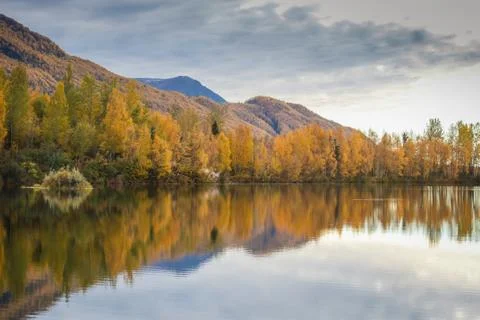 Alaskan fall Stock Photos