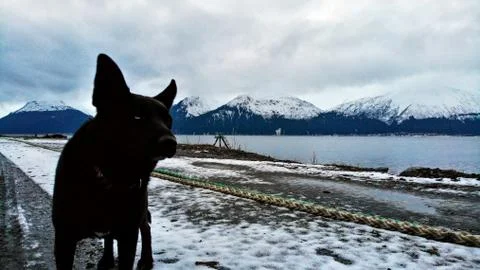 Alaskan fall Stock Photos