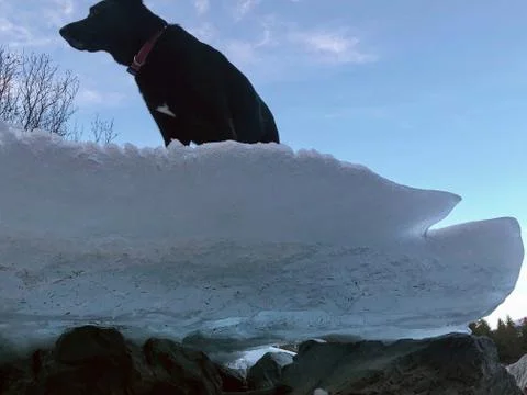 Alaskan fall Stock Photos