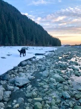 Alaskan fall Stock Photos