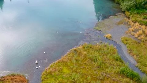 Alaskan fall Stock Photos