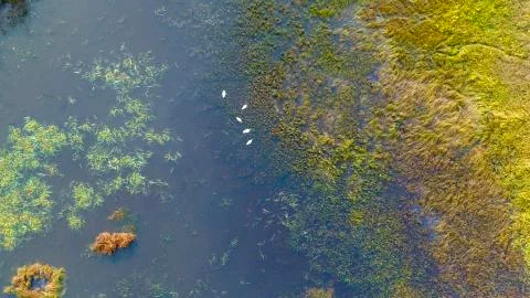 Alaskan fall Stock Photos