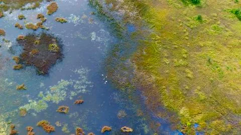 Alaskan fall Stock Photos