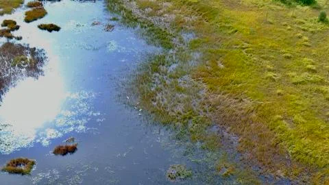 Alaskan fall Stock Photos