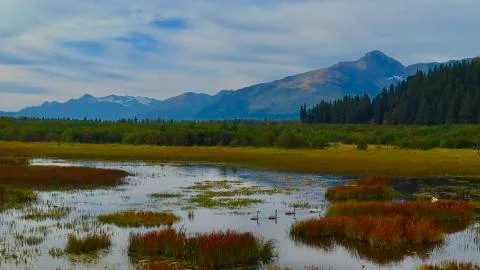 Alaskan fall Stock Photos