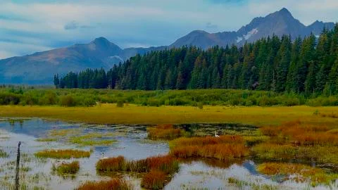 Alaskan fall Stock Photos
