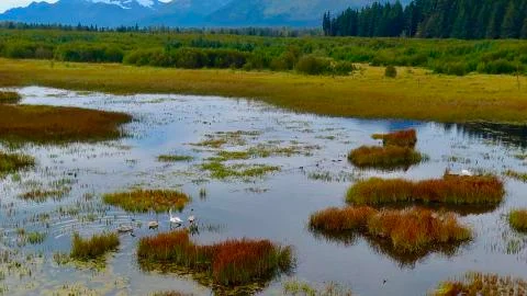 Alaskan fall Stock Photos