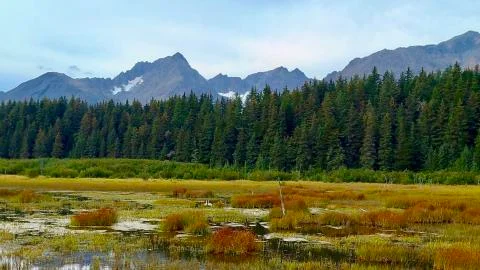 Alaskan fall Stock Photos